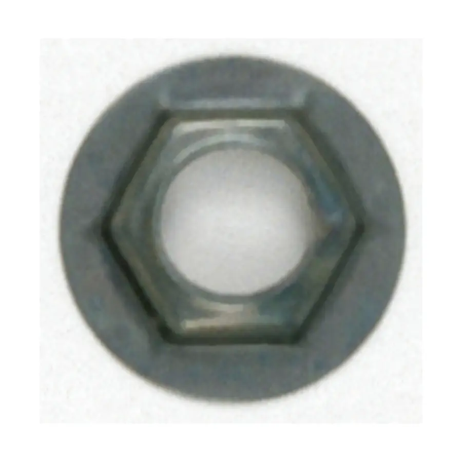 Steel Pal Nut - 1/8 IP - Unfinished