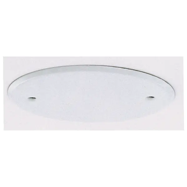 Blank Up Kit For 4" Box - White Finish - 5" Diameter - 2-8/32 Bar Holes - 3-1/2" Center To Center - Includes Hardware