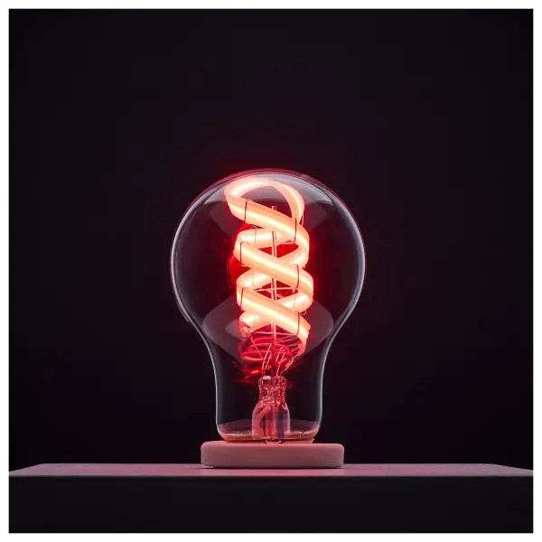 SATCO NUVO's STARFISH SMART technology color changing light bulbs feature an eye-catching RGBTW decorative ribbon filament that is beautifully showcased through the clear glass bulb. Available in A19, ST19, and B11 bulb types with both medium E26 and a candelabra E12 base, these bulbs offer flexibility for a range of fixtures. With tunable white options from a warm 2700K to a crisp 5000K and access to millions of vibrant RGB colors, they create the perfect ambiance for any space. Fully dimmable and controlled via the Starfish Smart app, users can easily customize lighting scenes and enjoy dynamic color effects. These bulbs seamlessly blend classic design with modern smart capabilities. Our elegant bulbs are also compatible with Siri, Alexa, Google Home, and SmartThings so they can be easily incorporated into your smart home. - alternate view