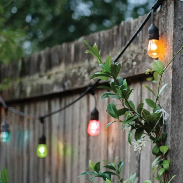 4-pin S14 LED Replacement Bulb for Changing and Warm White LED STARFISH String Lights. Dimmable, color tunable as part of STARFISH fixture and with app, wet location certified and sold in a convenient sold in a carded 2 pack. - alternate view