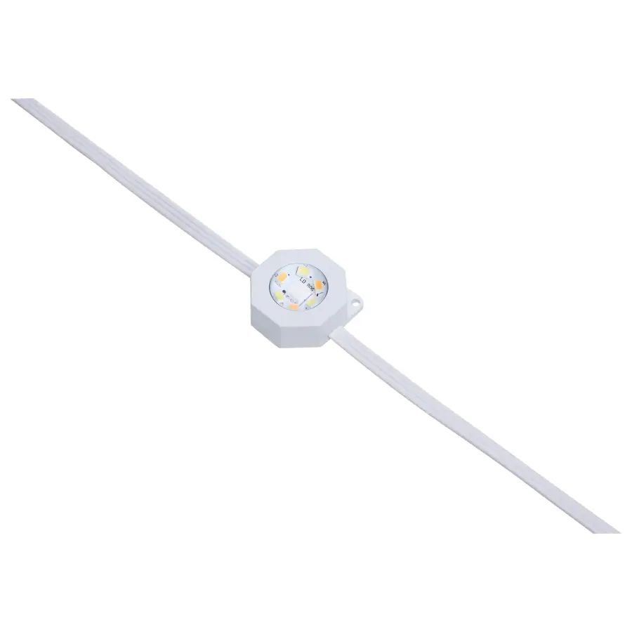 Starfish - 50 Foot LED Eave String Light - 24 Watt - RGBTW - 120 Volt - Remote Included - Image 1