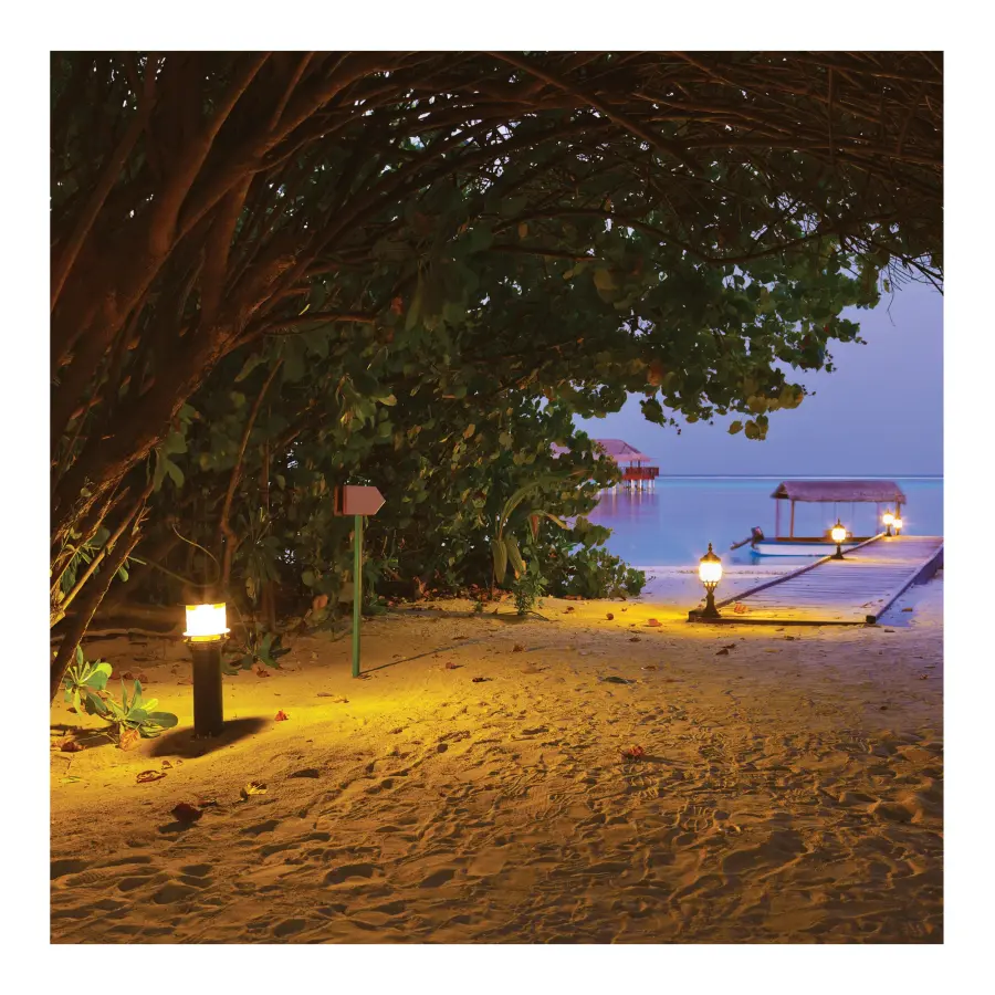 50 Watt - 1600K - Turtle Friendly 585Nm Amber Corncob - Image 7