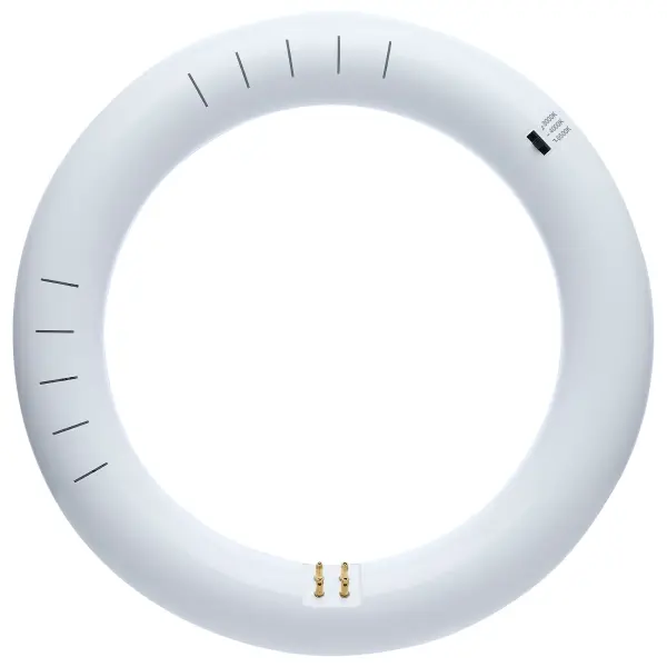 LED Circline - 11 Watt - T9 - 3000K/4000K/6500K CCT Selectable - G10q Base - 120-277 Volt - Image 5