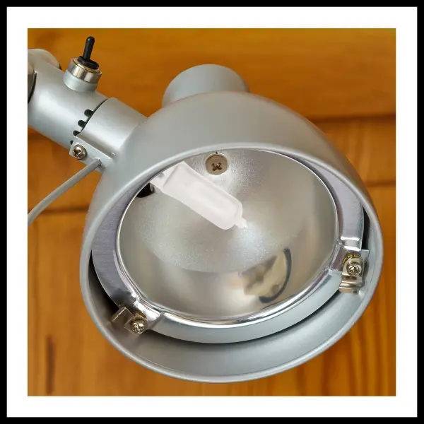 75 Watt - Halogen - T4 - Frosted - 2000 Average rated hours - 1125 Lumens - Mini Candelabra base - 120 Volt - alternate view