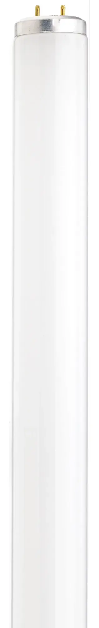 40 Watt - 48 Inch Fluorescent T12 - 5000K - Daylight - Medium Bi-Pin Base