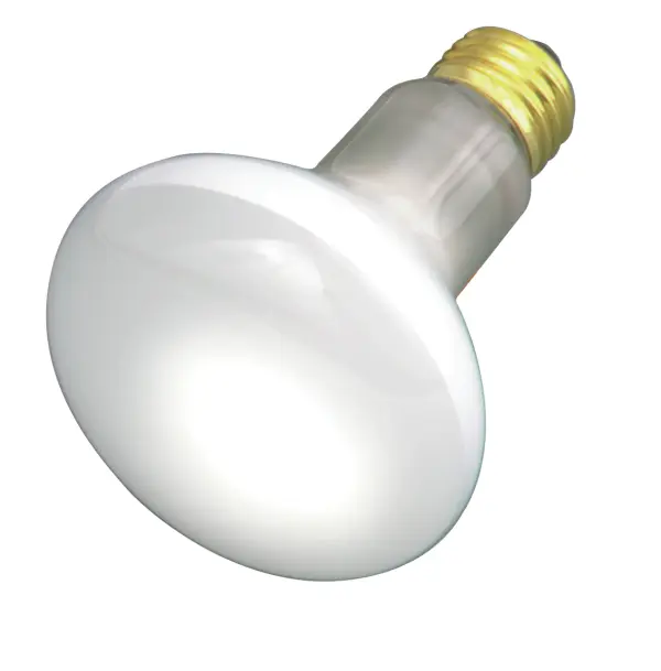 30 Watt R20 Incandescent - Frost - 2000 Average rated hours - 185 Lumens - Medium base - 130 Volt - Image 1