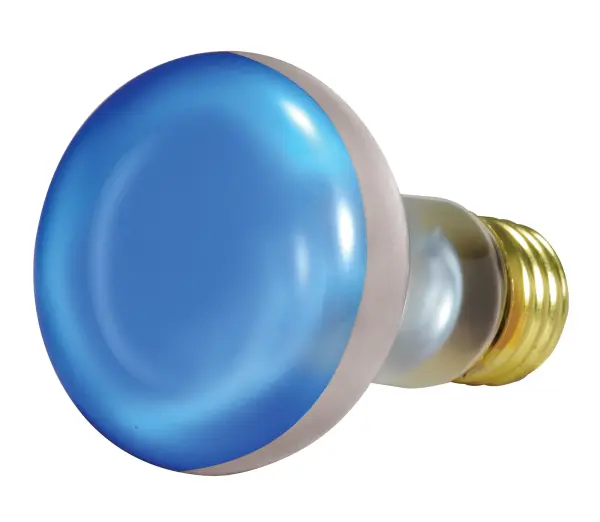 50 Watt R20 Incandescent - Grow - 2000 Average rated hours - Medium base - 120 Volt - Image 2