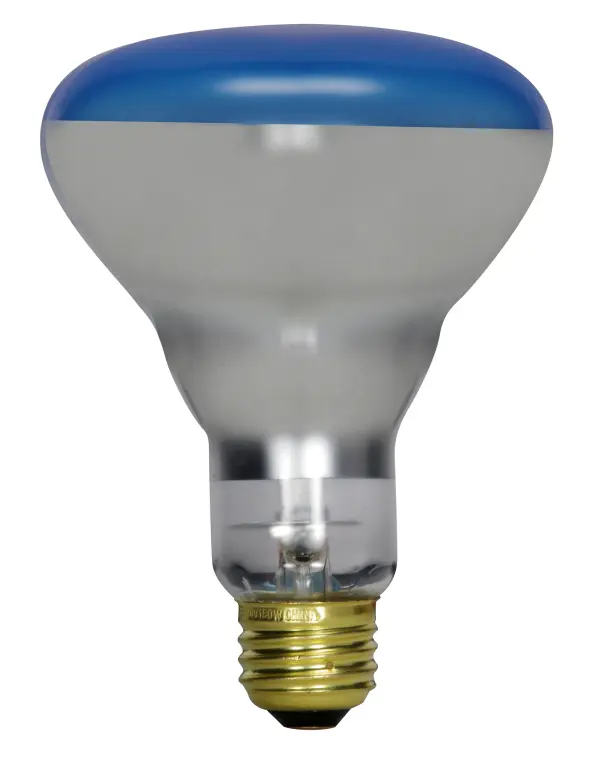 150 Watt R30 Incandescent - Grow - 2000 Average rated hours - Medium base - 120 Volt - Image 1