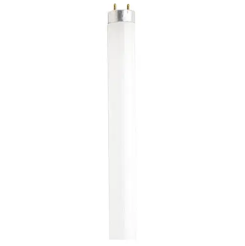 32 Watt - T8 - Fluorescent - 4100K Cool White - 85 CRI - Medium Bi Pin base