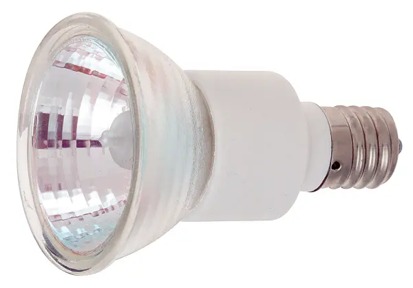 75 Watt - Halogen - JDR - Clear - 2000 Average rated hours - 700 Lumens - Intermediate base - 120 Volt