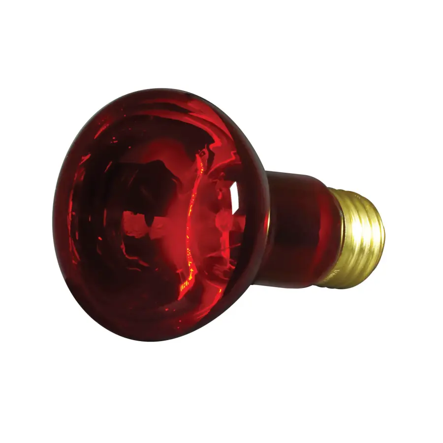 50 Watt R20 Incandescent - Red - 2000 Average rated hours - Medium base - 130 Volt - Image 1