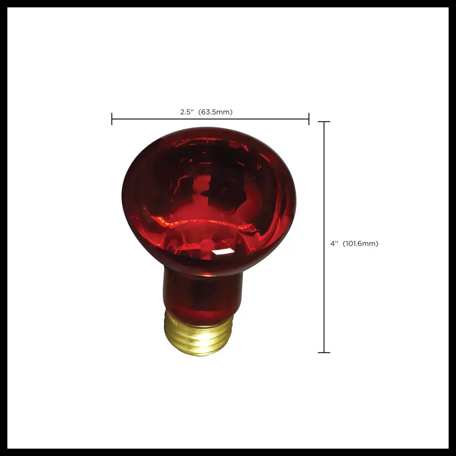 50 Watt R20 Incandescent - Red - 2000 Average rated hours - Medium base - 130 Volt - Image 8