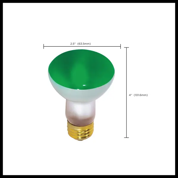 50 Watt R20 Incandescent - Green - 2000 Average rated hours - Medium base - 130 Volt - Image 8