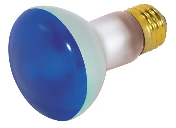 50 Watt R20 Incandescent - Blue - 2000 Average rated hours - Medium base - 130 Volt