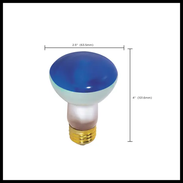 50 Watt R20 Incandescent - Blue - 2000 Average rated hours - Medium base - 130 Volt - Image 8