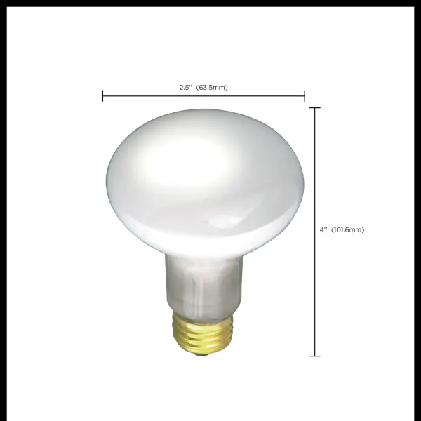 30 Watt R20 Incandescent - Frost - 2000 Average rated hours - 185 Lumens - Medium base - 120 Volt - Image 3
