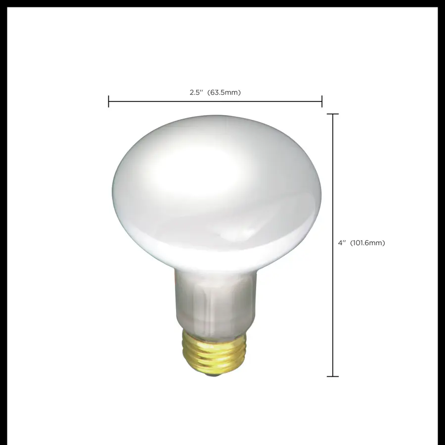 30 Watt R20 Incandescent - Frost - 2000 Average rated hours - 185 Lumens - Medium base - 120 Volt - Image 3