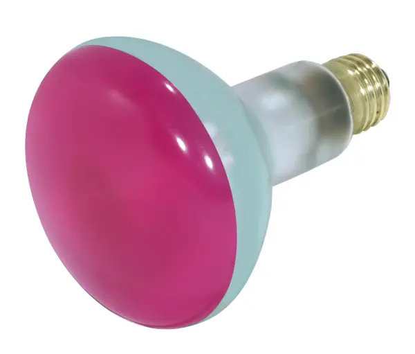 75 Watt BR30 Incandescent - Pink - 2000 Average rated hours - Medium base - 130 Volt