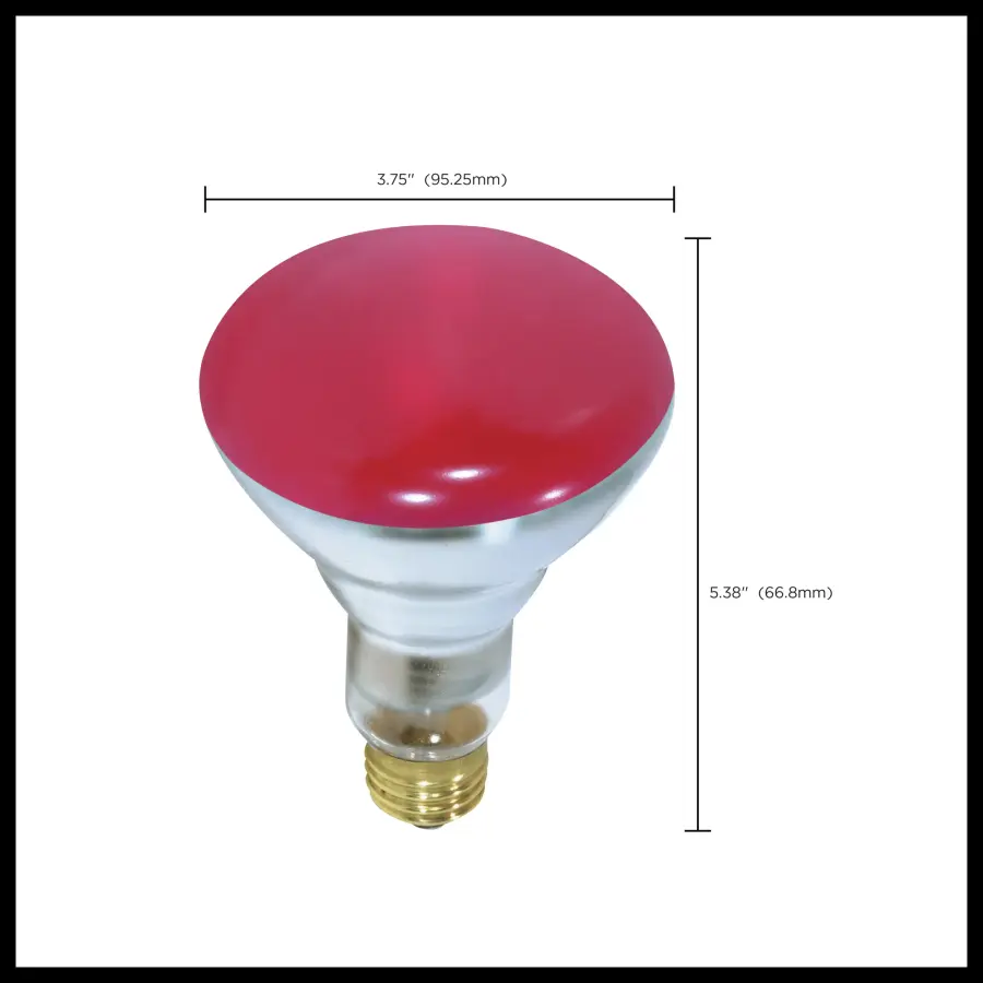 75 Watt BR30 Incandescent - Red - 2000 Average rated hours - Medium base - 130 Volt - Image 6