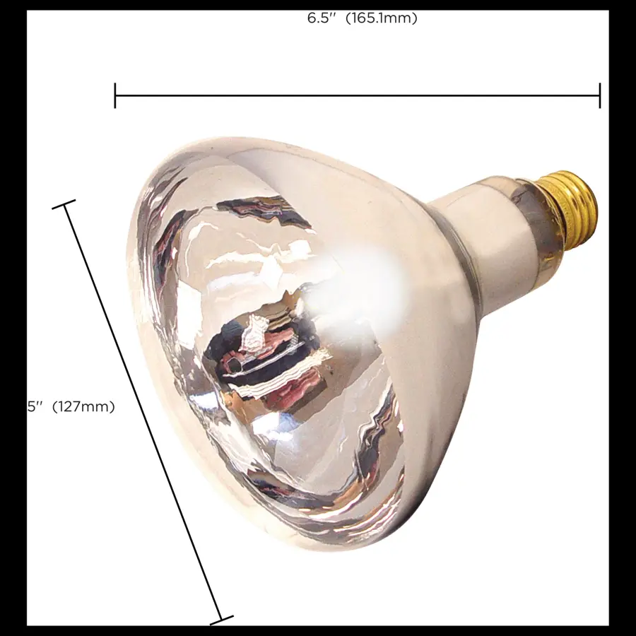 125 Watt R40 Incandescent - Clear Heat - 6000 Average rated hours - Medium base - 120 Volt - Image 8