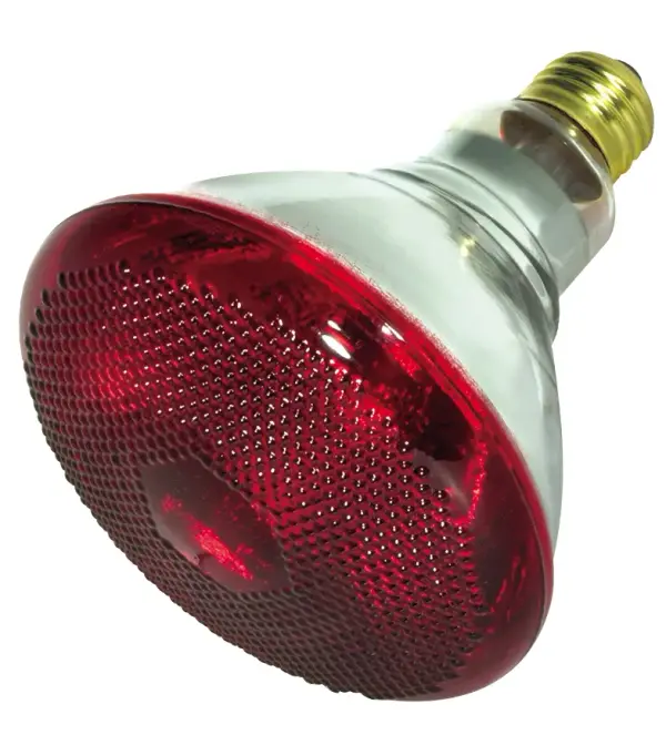 SATCO NUVO offers a full line of incandescent heat lamps, providing a reliable and versatile heating solution designed to generate focused heat for a variety of applications. With four unique shapes to choose from-PAR38, BR38, R40, and BR40-these lamps combine functionality and performance to meet diverse needs. Featuring a standard E26 medium base and operating at 120 volts, they emit a comforting glow that's perfect for maintaining warmth. Available in both red and clear finishes, select models are enhanced with a shatterproof coating for added safety and durability. Engineered to emit infrared radiation, these heat lamps excel at providing targeted heat, making them ideal for keeping poultry and piglets warm in brooders, maintaining food at serving temperatures, or adding comfort to bathrooms. Their practical design and dependable performance make them an excellent choice for agricultural, commercial, and residential settings alike.