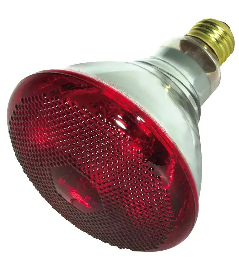 175 Watt BR38 Incandescent - Red Heat - 5000 Average rated hours - Medium base - 120 Volt - Image 1