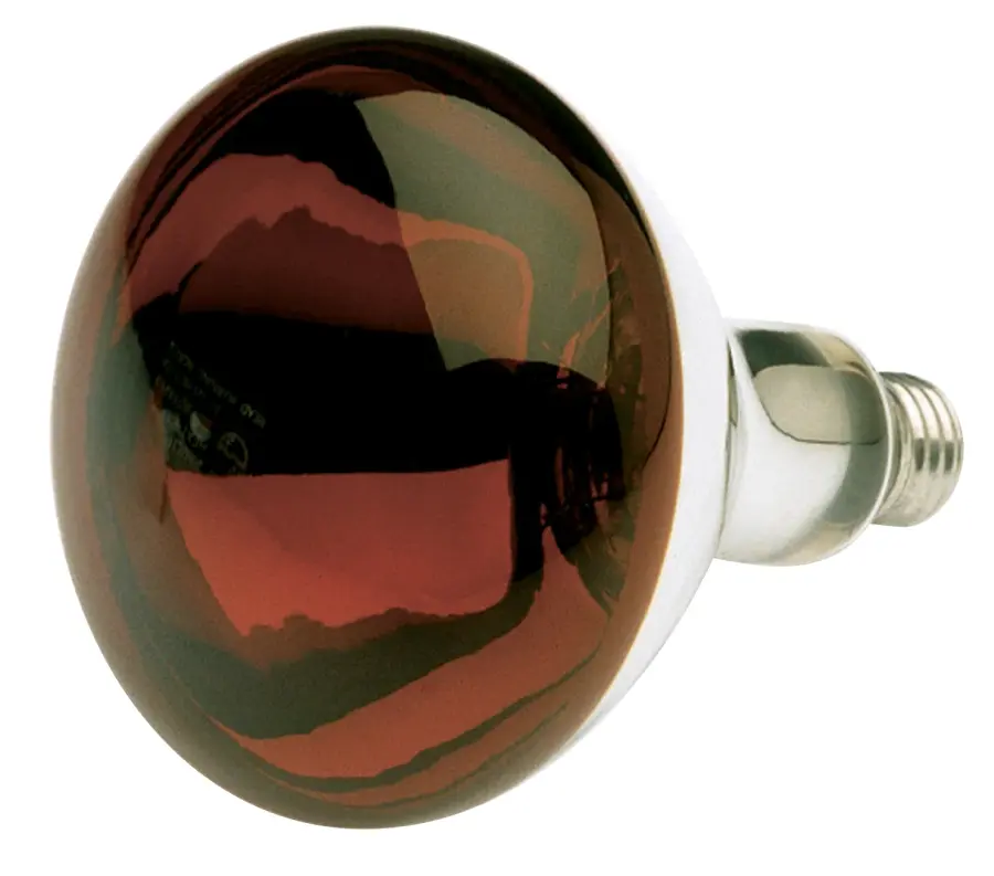 250 Watt R40 Incandescent - Red Heat - 6000 Average rated hours - Medium base - 120 Volt - Shatter Proof