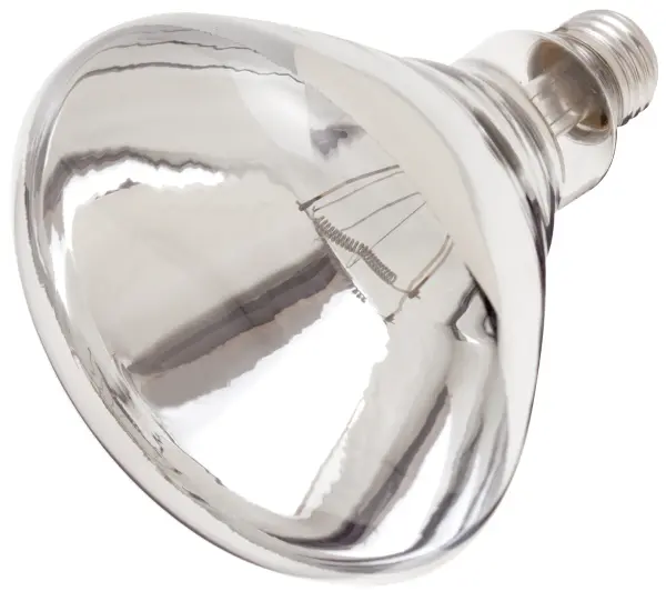 SATCO NUVO offers a full line of incandescent heat lamps, providing a reliable and versatile heating solution designed to generate focused heat for a variety of applications. With four unique shapes to choose from-PAR38, BR38, R40, and BR40-these lamps combine functionality and performance to meet diverse needs. Featuring a standard E26 medium base and operating at 120 volts, they emit a comforting glow that's perfect for maintaining warmth. Available in both red and clear finishes, select models are enhanced with a shatterproof coating for added safety and durability. Engineered to emit infrared radiation, these heat lamps excel at providing targeted heat, making them ideal for keeping poultry and piglets warm in brooders, maintaining food at serving temperatures, or adding comfort to bathrooms. Their practical design and dependable performance make them an excellent choice for agricultural, commercial, and residential settings alike.