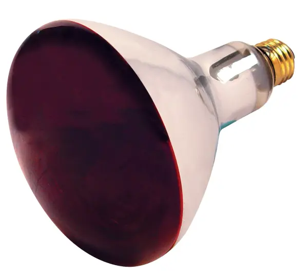 250 Watt R40 Incandescent - Red Heat - 6000 Average rated hours - Medium base - 120 Volt - Image 1