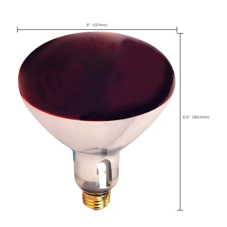 250 Watt R40 Incandescent - Red Heat - 6000 Average rated hours - Medium base - 120 Volt - Image 8