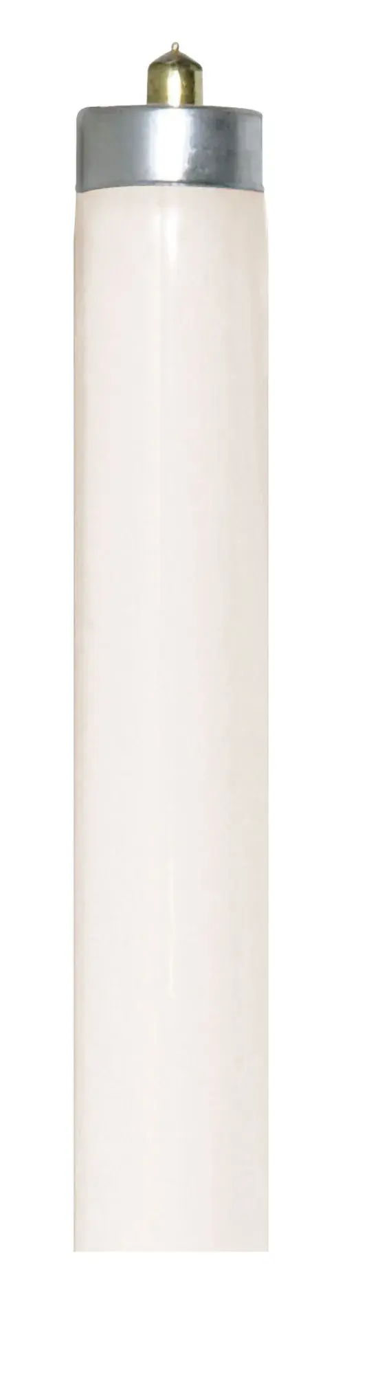 38 Watt - T8 - Fluorescent - 4200K Cool White - 62 CRI - Single Pin base