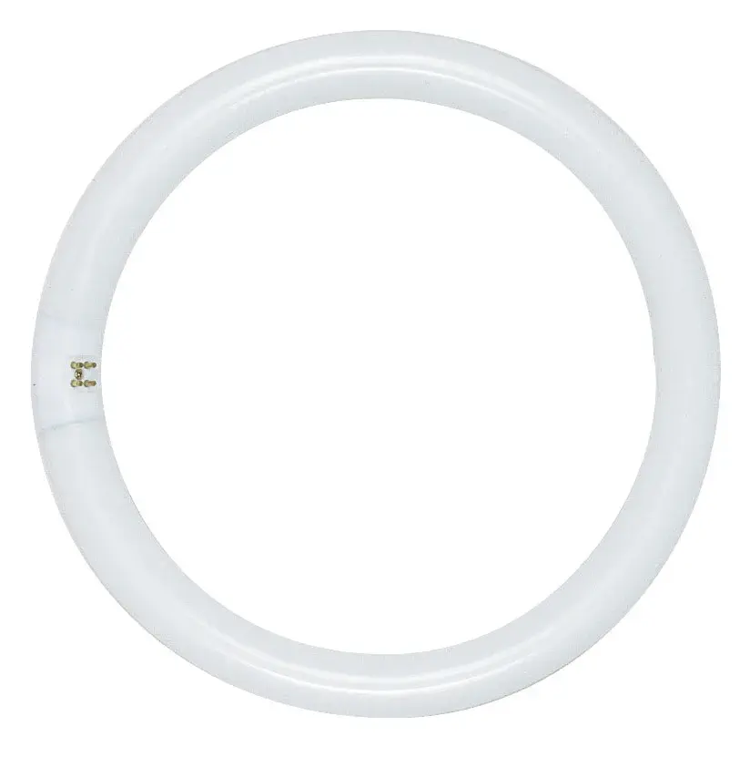 32 Watt - T9 - Circline Fluorescent - 4100K Cool White - 62 CRI - 4-Pin base - Image 1