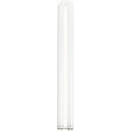 31 Watt - T8 - U-Bend Fluorescent - 4100K Cool White - 82 CRI - Medium Bi Pin base