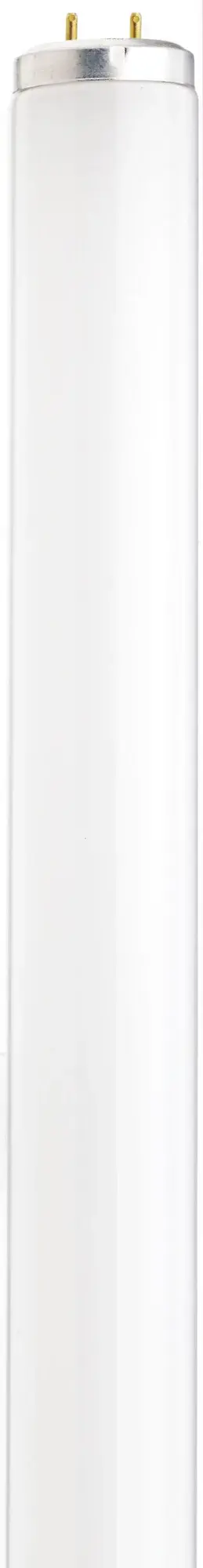20 Watt - T12 - Shatter Proof Fluorescent - 4100K Cool White - 62 CRI - Medium Bi Pin base