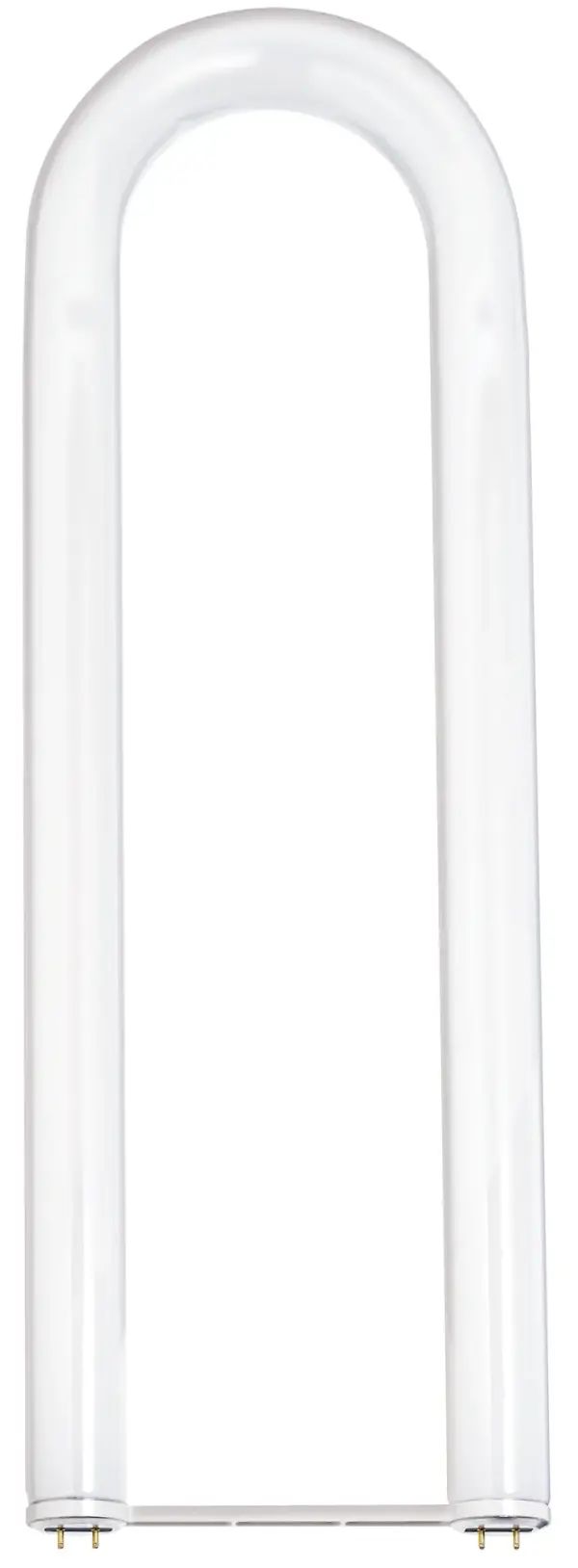 40 Watt - T12 - U-Bend Shatter Proof Fluorescent - 4200K Cool White - 62 CRI - Medium Bi Pin base