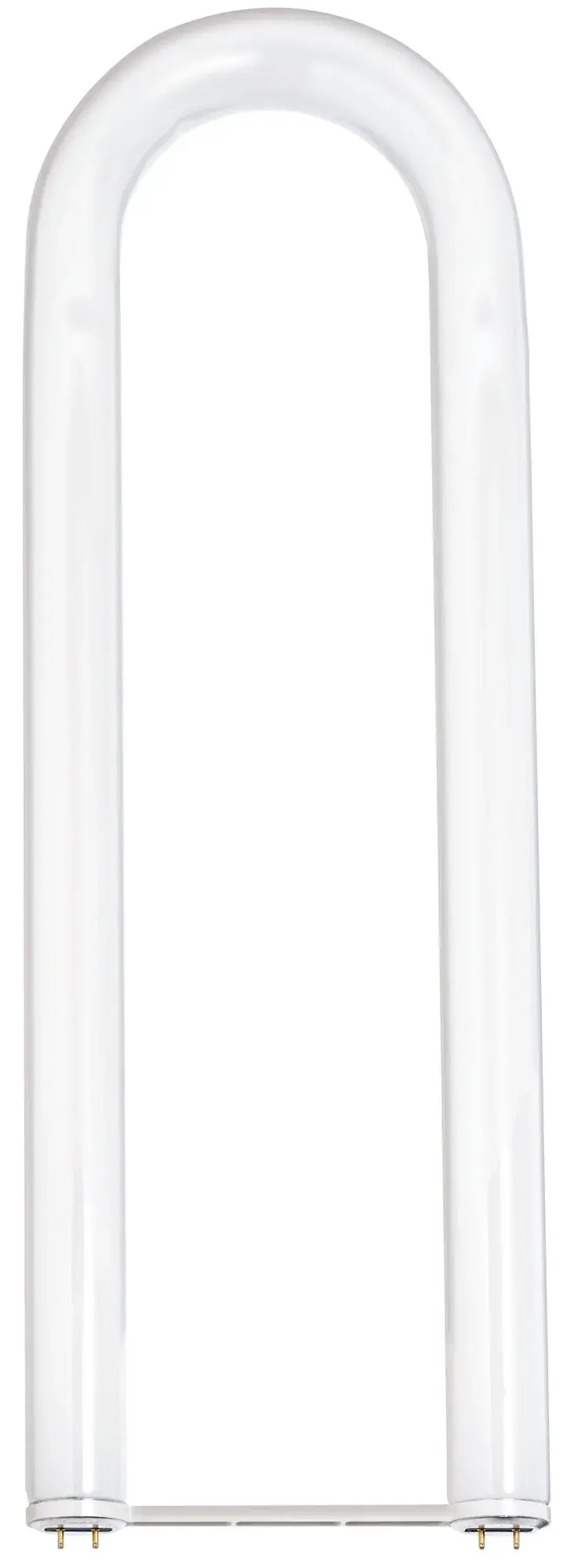 40 Watt - T12 - U-Bend Shatter Proof Fluorescent - 4200K Cool White - 62 CRI - Medium Bi Pin base