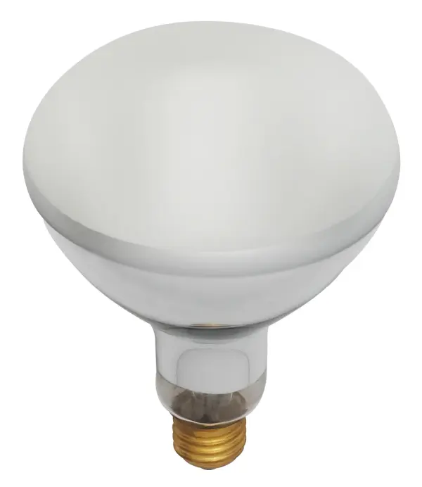 400 Watt BR40 Incandescent - Frost - 2000 Average rated hours - 4000 Lumens - Medium base - 120 Volt