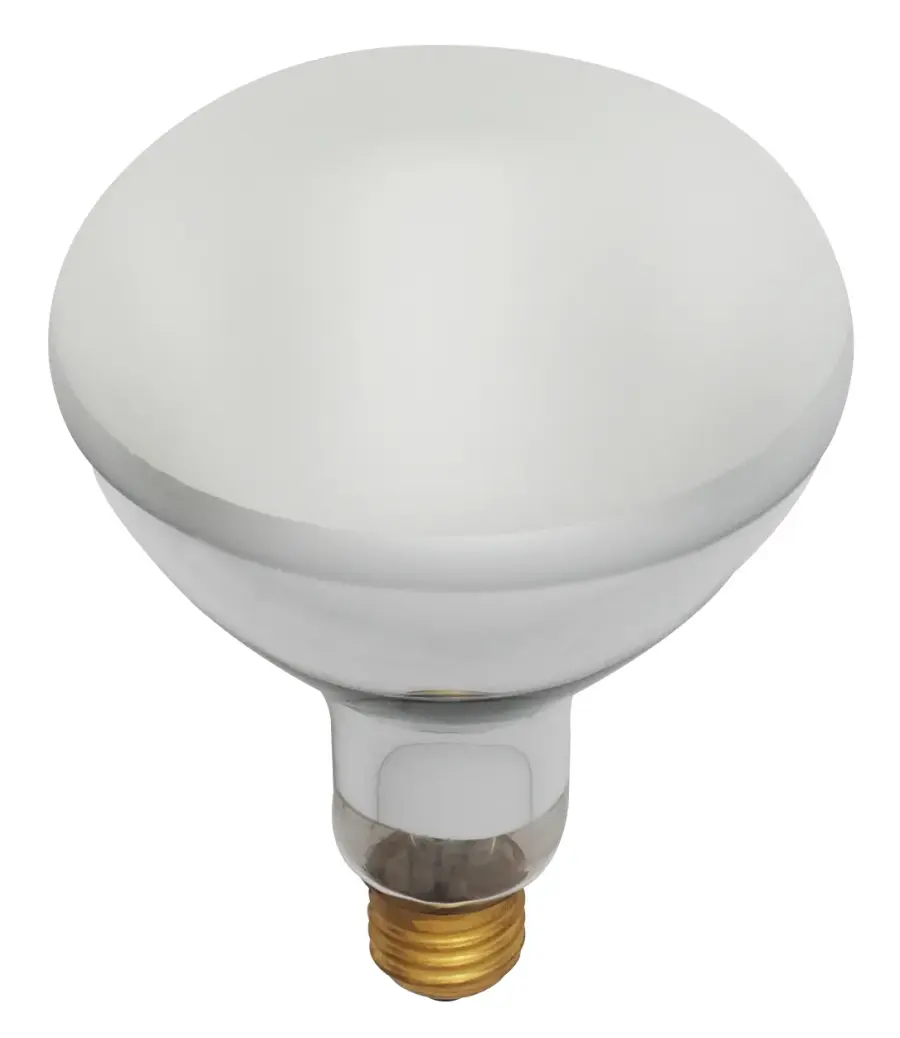 400 Watt BR40 Incandescent - Frost - 2000 Average rated hours - 4000 Lumens - Medium base - 120 Volt