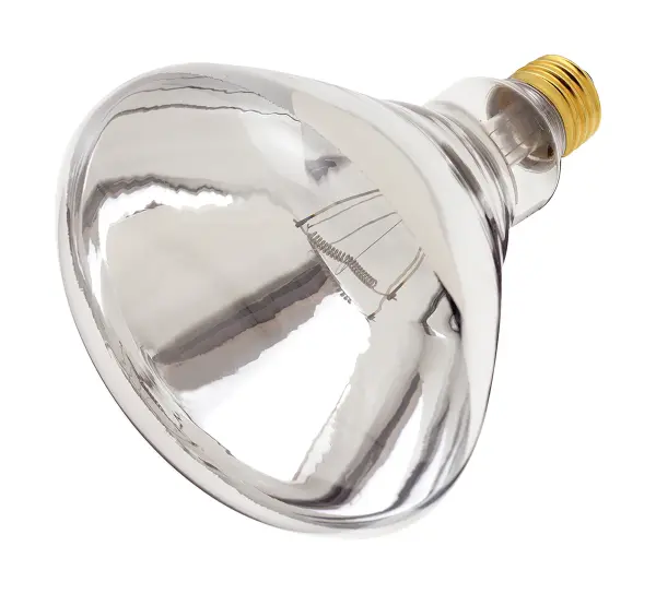 SATCO NUVO offers a full line of incandescent heat lamps, providing a reliable and versatile heating solution designed to generate focused heat for a variety of applications. With four unique shapes to choose from-PAR38, BR38, R40, and BR40-these lamps combine functionality and performance to meet diverse needs. Featuring a standard E26 medium base and operating at 120 volts, they emit a comforting glow that's perfect for maintaining warmth. Available in both red and clear finishes, select models are enhanced with a shatterproof coating for added safety and durability. Engineered to emit infrared radiation, these heat lamps excel at providing targeted heat, making them ideal for keeping poultry and piglets warm in brooders, maintaining food at serving temperatures, or adding comfort to bathrooms. Their practical design and dependable performance make them an excellent choice for agricultural, commercial, and residential settings alike.