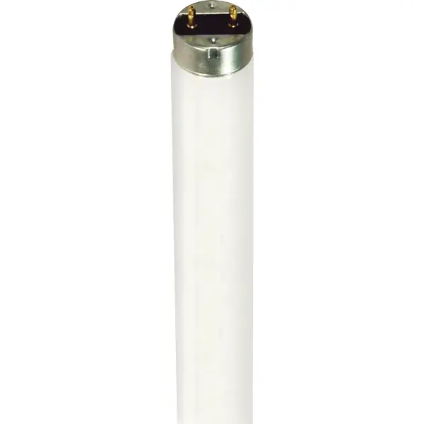 Satco's 32 watt T8 shatterproof fluorescent linear tube offers quality light. The frosted bulb features a medium bi pin base and a 360 degree beam spread. At a temperature of 4100 kelvins, this lamp provides 80 CRI of cool white light.