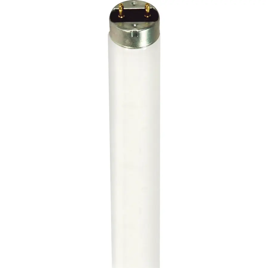 32 Watt - T8 - Fluorescent - 4100K Cool White - Medium Bi Pin base - TF Shatter Proof