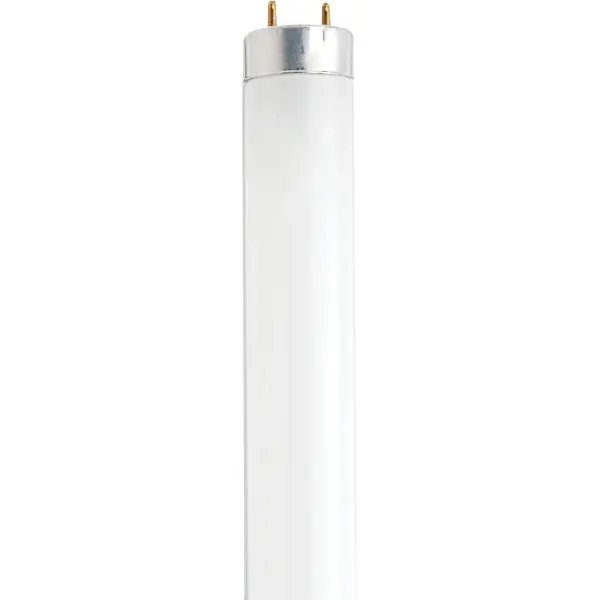 Satco's 13-watt, 12 inch, LED T8 bulb is an ideal lighting solution for a variety of applications. This energy saving, low maintenance lamp has a 360 degree beam spread and a medium bi pin base. This frosted bulb is versatile and delivers 7500 hours of cool white light.