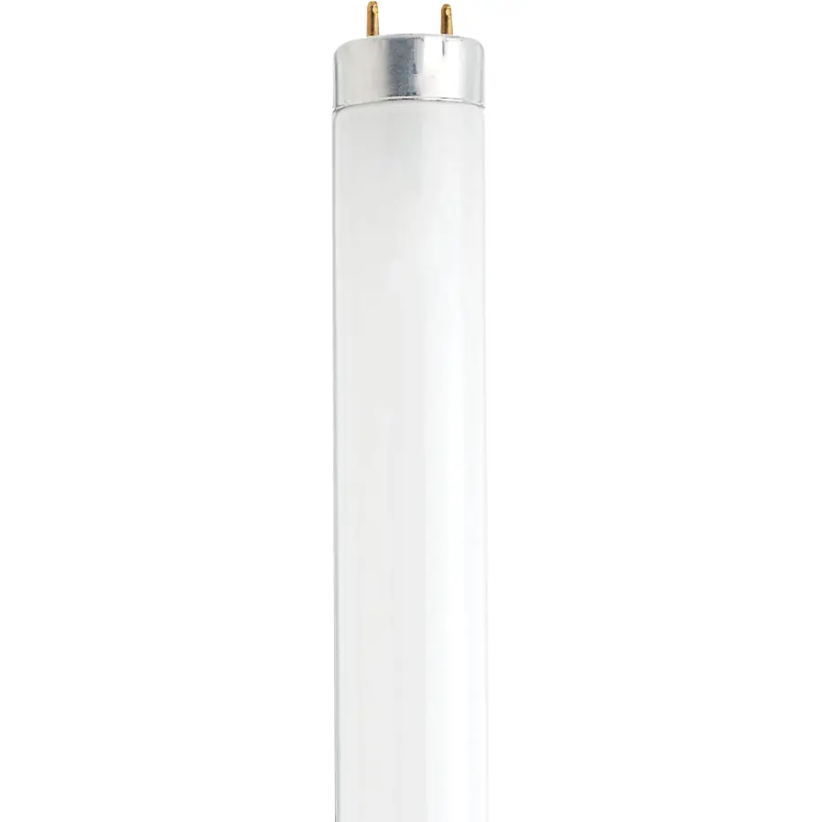 13 Watt - 12 Inch Fluorescent T8 - 4100K - Cool White - Medium Bi Pin base