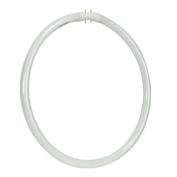 40 Watt - T5 - Circline Fluorescent - 3000K Warm White - 82 CRI - 2GX13 (4-Pin) base - alternate view