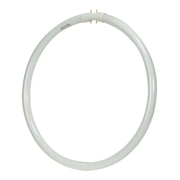 40 Watt - T5 - Circline Fluorescent - 3000K Warm White - 82 CRI - 2GX13 (4-Pin) base - Image 3