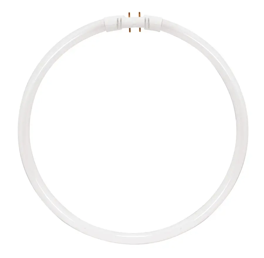 55 Watt - T5 - Circline Fluorescent - 4100K Cool White - 82 CRI - 2GX13 (4-Pin) base