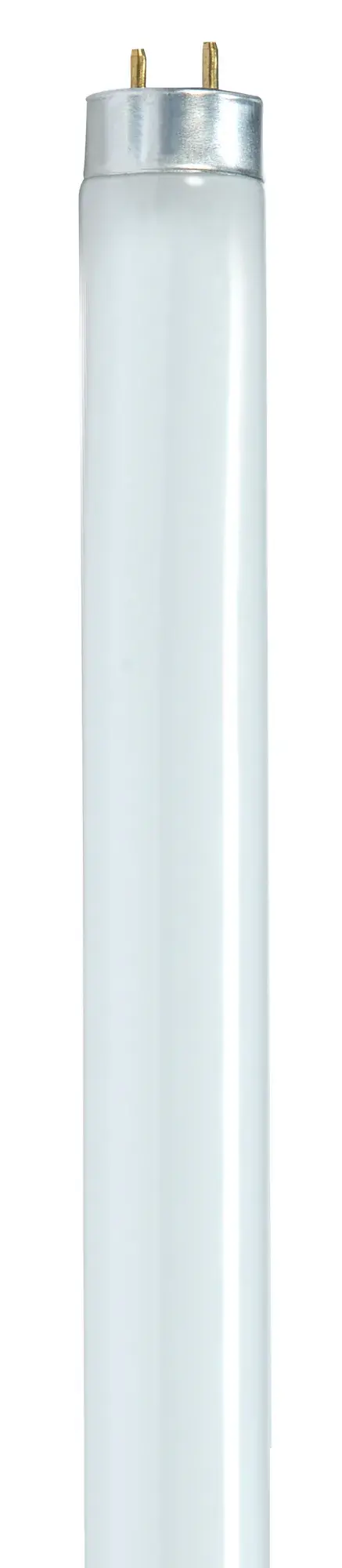 SATCO T8 linear fluorescent lamps are perfect for your lower watt and lumen needs. The tube bulbs excel in general purpose lighting. Added benefits include long life along with energy savings.