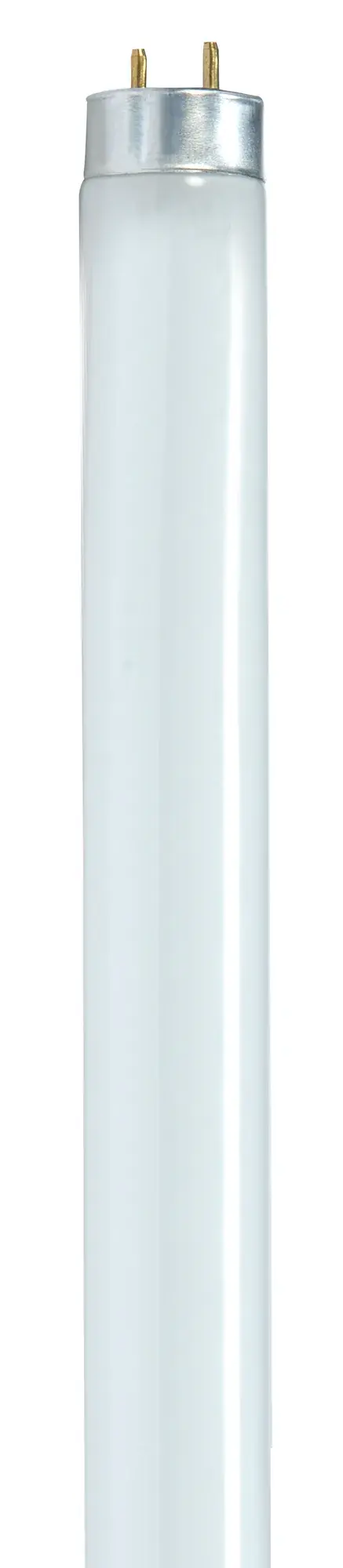 32 Watt - T8 - Fluorescent - 6500K Daylight - 82 CRI - Medium Bi Pin base