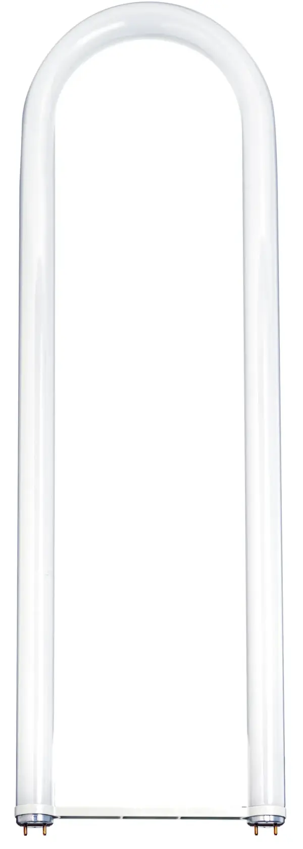 32 Watt - T8 - U-Bend Fluorescent - 5000K Natural Light - 82 CRI - Medium Bi Pin base