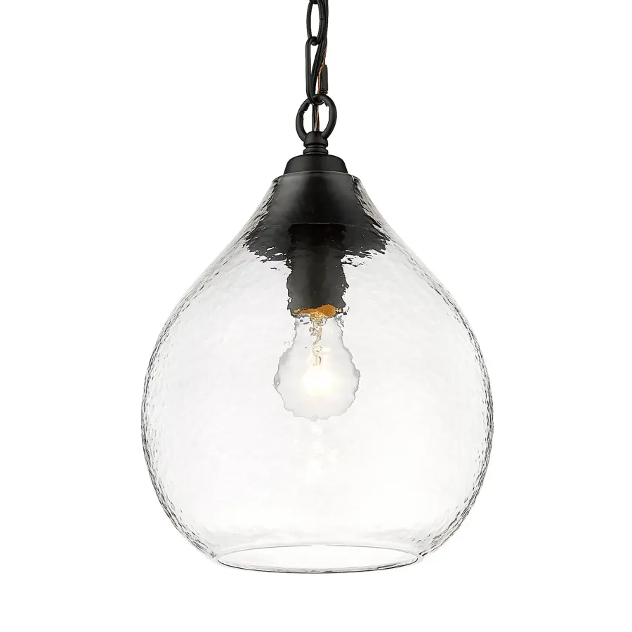Golden Lighting Ariella 1-Light Pendant in Matte Black - Image 1